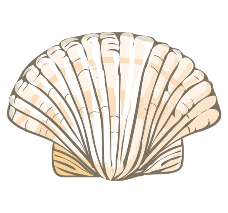 Covor mare în formă de scoică din vinil - TenStickers