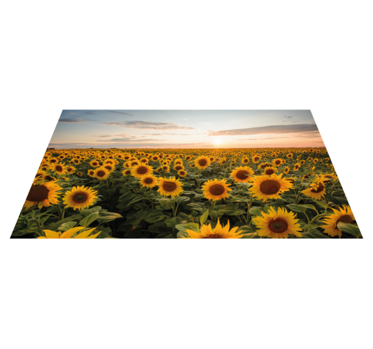 Soare floare soare covor floral - TenStickers