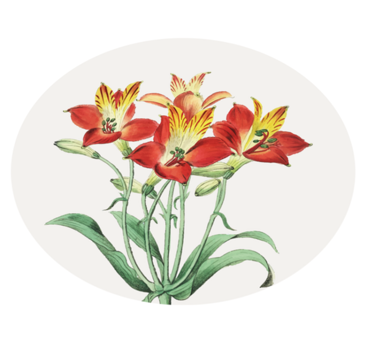 Covor vinil flori și plante flori roșii strălucitoare - TenStickers