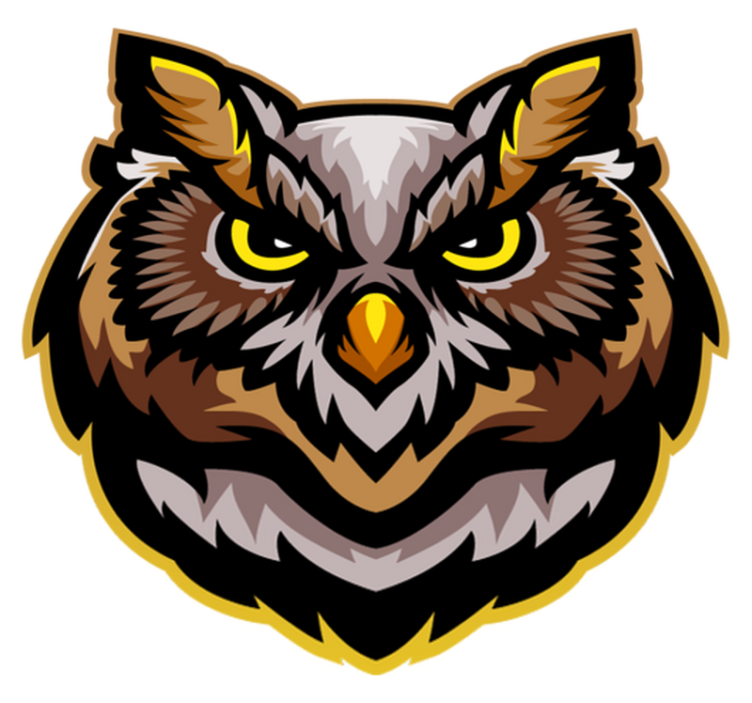 Covor vinil animal artă cu față de bufniță - TenStickers