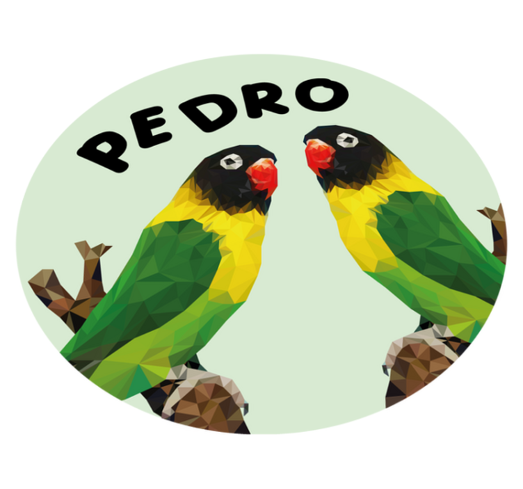 Covor de vinil cu nome păsări de dragoste personalizabile - TenStickers