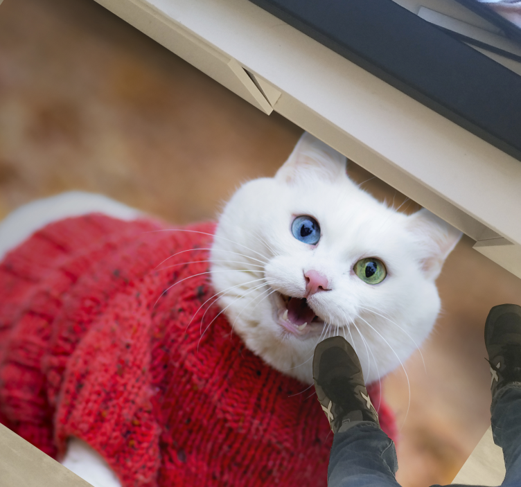 Covor vinil animal pulover cu pisică jucăușă - TenStickers