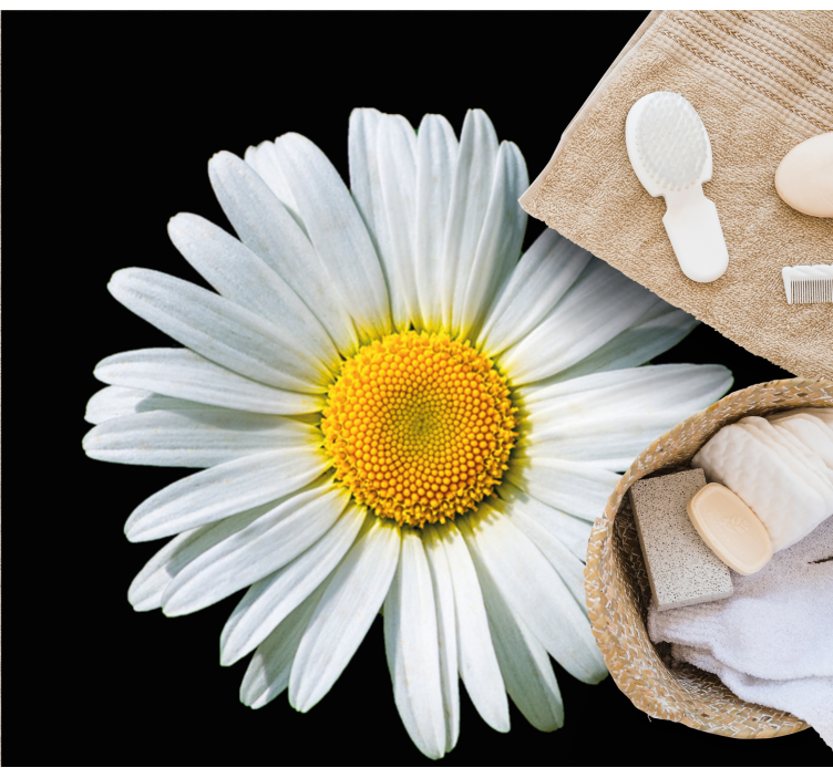 Covor vinil flori și plante floare de margaretă - TenStickers