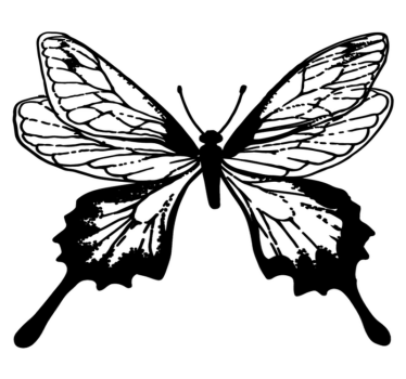 Covor vinil animal contur fluture elegant - TenStickers