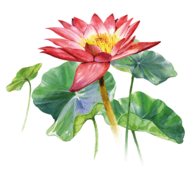 Covor vinil dormitor iluzie acuarelă lotus - TenStickers