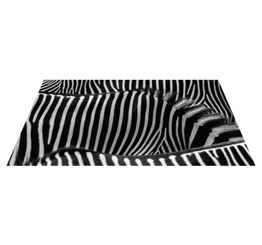 Covor de vinil cu imprimeu animal zebra - TenStickers