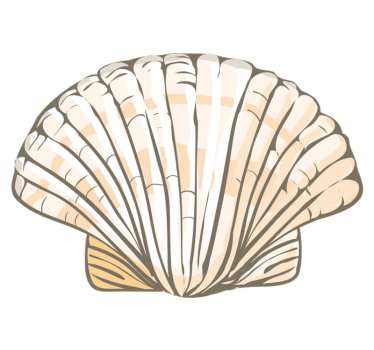 Covor mare de scoică pentru animale - TenStickers