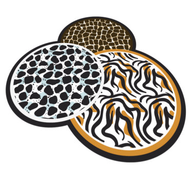 Covor vinil print animalier trio cu motive safari - TenStickers