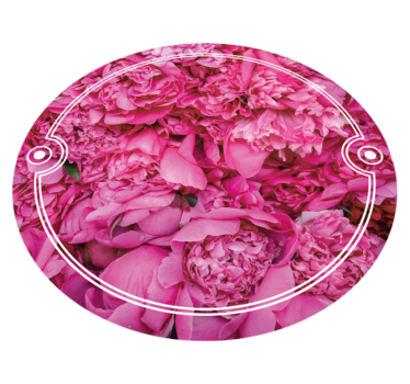 Covor cu flori de bujori - TenStickers