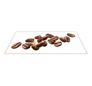 Căderea boabelor de cafea covoare contemporane - TenStickers