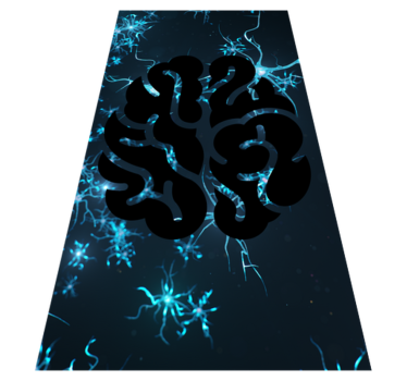 Creier cu neuroni covoare contemporane - TenStickers