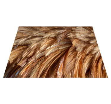Covoare pufoase cu pene cu imprimeu animal - TenStickers