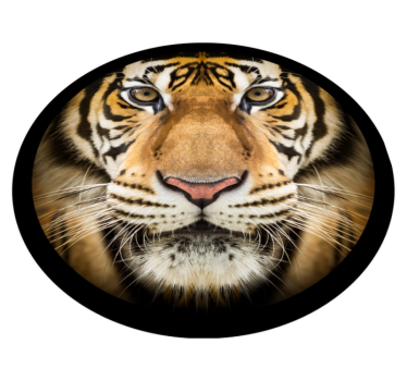 Covor realist de animale tigru - TenStickers