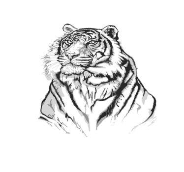 Covor vinil print animalier portret artistic tigru - TenStickers