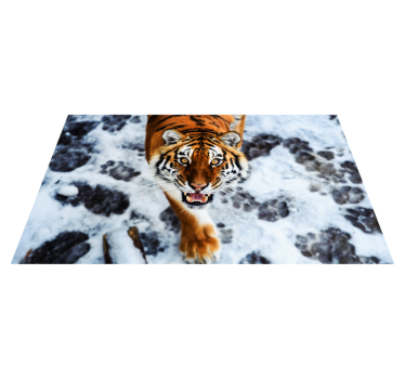 Covor animal vinil tigru feroce animal - TenStickers