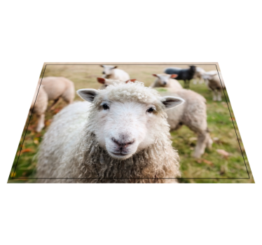 Animal oaie animal mat - TenStickers