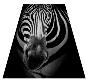 Covor de vinil cu imprimeu animal zebra face - TenStickers