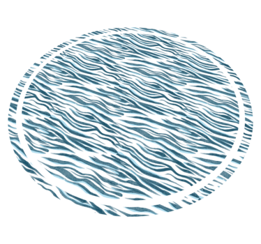 Covor vinil print animalier val zebră elegant - TenStickers