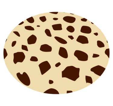 Covor vinil print animalier căldură pătată - TenStickers