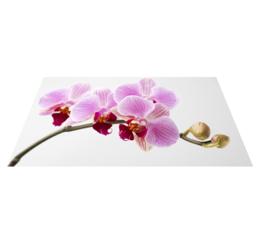 Un covor simplu de vinil cu flori gri orhidee - TenStickers
