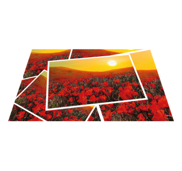 Covor vinil cu aspect de natura câmpuri de flori vibrante - TenStickers