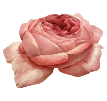 Covor vinil flori și plante floare roz luxuriantă - TenStickers