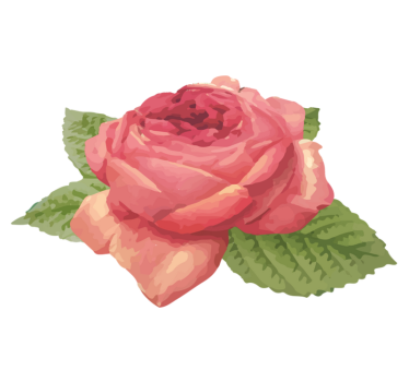 Covor roz trandafir cu frunze natura - TenStickers