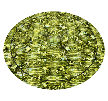 Covor vinil print animalier piele verde de reptilă - TenStickers
