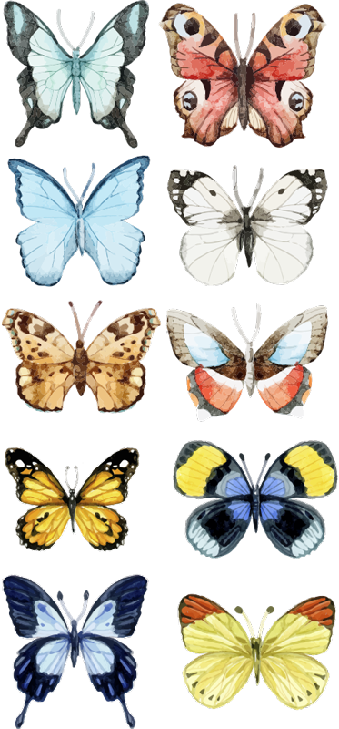 Covor vinil animal cu zece fluturi colorați - TenStickers