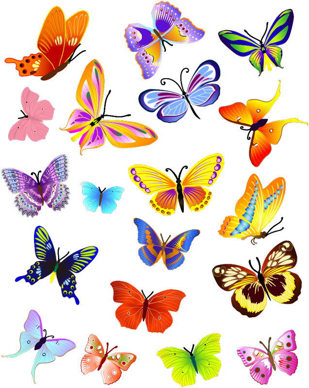 Covor vinil animal fluturi colorați zburători - TenStickers