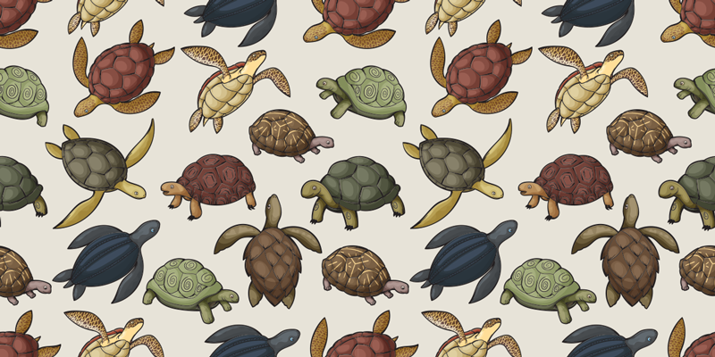 Covor vinil animal cu diverse broaște țestoase - TenStickers