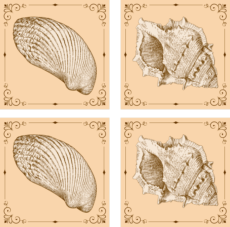 Covor vinil animal scoici vintage - TenStickers