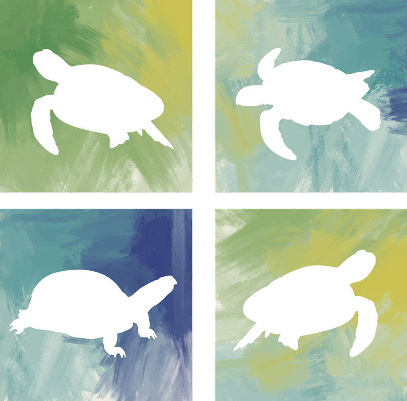 Covor vinil animal plăci cu țestoase colorate - TenStickers