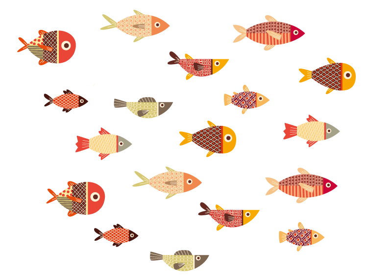 Covor vinil animal pești colorați rotunzi - TenStickers