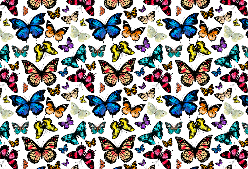 Covor vinil animal fluturi frumoși și colorați - TenStickers
