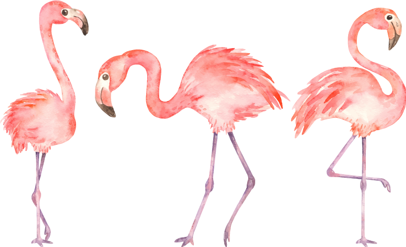 Covor vinil animal trio de flamingo elegant - TenStickers