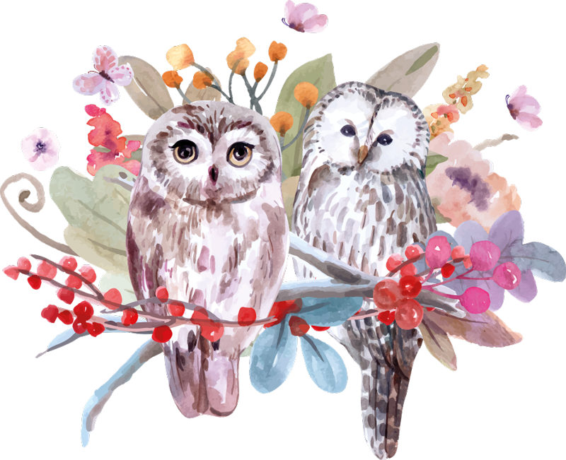 Covor vinil animal bufnițe în natură - TenStickers