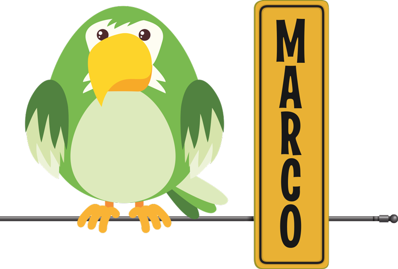 Covor vinil animal papagal sălbatic cu nume - TenStickers