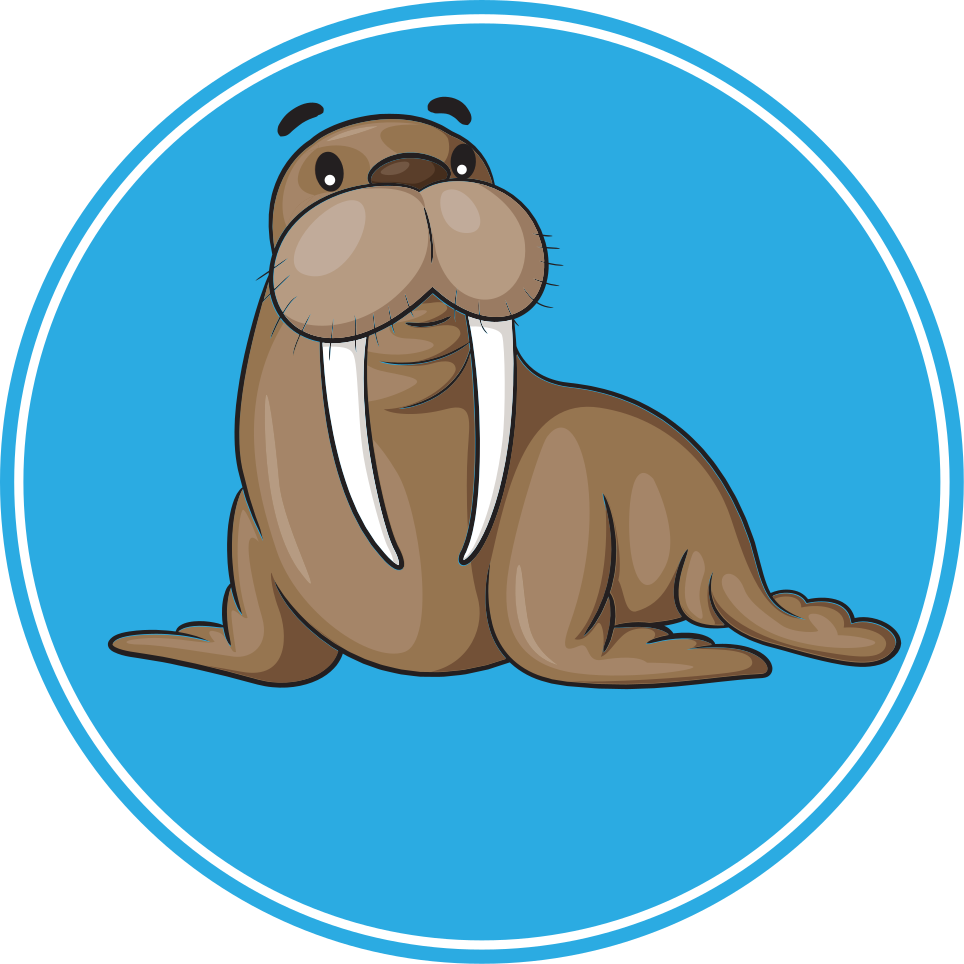Covor vinil animal personaj foca drăguță - TenStickers