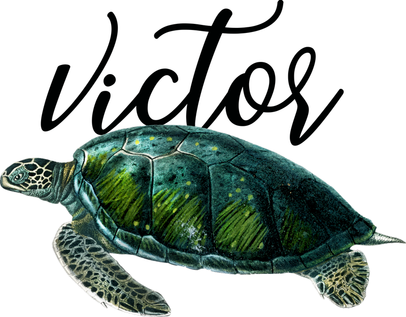 Covor vinil animal design broască țestoasă personalizabil - TenStickers