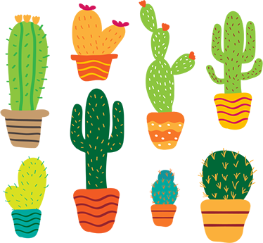 Covor vinil flori și plante pachet de cactuși colorați - TenStickers