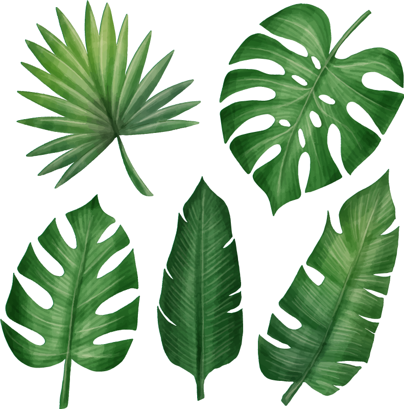 Covor vinil flori și plante colecție frunze tropicale - TenStickers