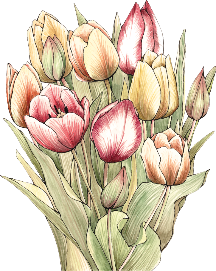 Covor vinil flori și plante buchet de lalele colorate - TenStickers