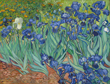 Covor vinil flori și plante flori de van gogh - TenStickers