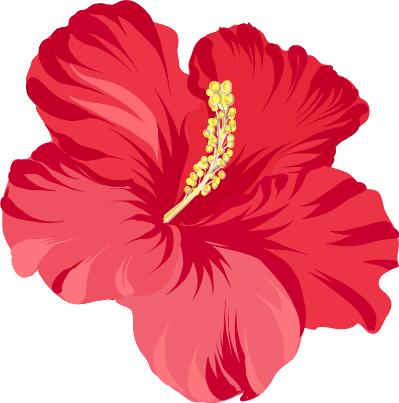 Covor vinil flori și plante set floare hibiscus roșu - TenStickers