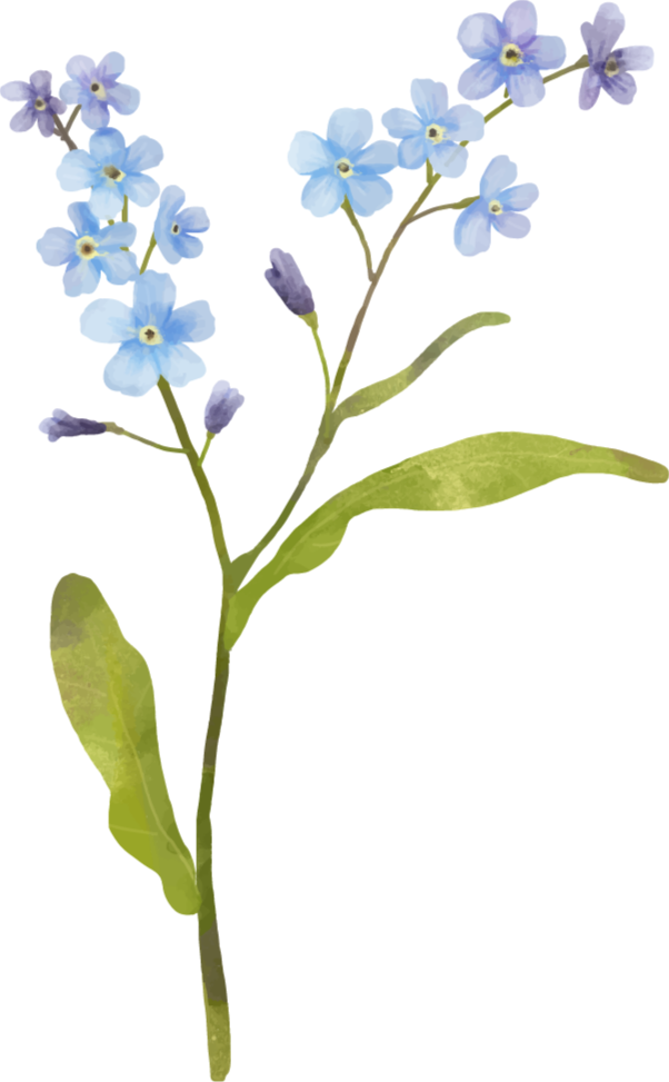 Covor vinil flori și plante plantă albastră elegantă - TenStickers
