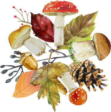 Covor vinil cu aspect de natura frunze și fructe de pădure - TenStickers