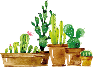 Covor vinil flori și plante grădină de cactus homemade - TenStickers