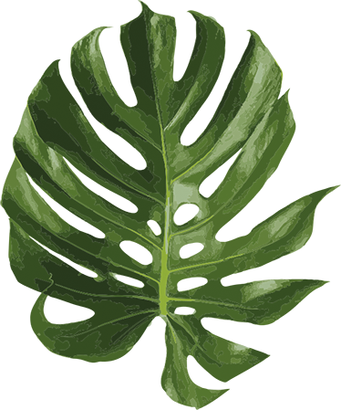 Covor vinil flori și plante frunze de monstera delicioase - TenStickers