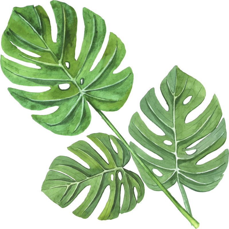 Covor vinil flori și plante frunze monstera acuarelă - TenStickers
